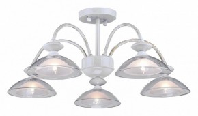 Люстра на штанге Arti Lampadari Noventa Noventa E 1.1.5 W в Красноуральске - krasnouralsk.mebel24.online | фото