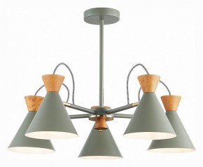 Люстра на штанге EVOLUCE Modica SLE125112-05 в Красноуральске - krasnouralsk.mebel24.online | фото 2