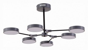 Люстра на штанге EVOLUCE Monta SLE6003-702-06 в Красноуральске - krasnouralsk.mebel24.online | фото 1