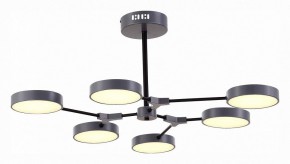 Люстра на штанге EVOLUCE Monta SLE6003-702-06 в Красноуральске - krasnouralsk.mebel24.online | фото 2