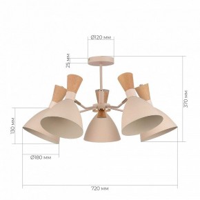 Люстра на штанге EVOLUCE VISTA SLE1256-502-05 в Красноуральске - krasnouralsk.mebel24.online | фото 8