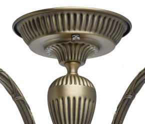 Люстра на штанге MW-Light Аманда 6 481011805 в Красноуральске - krasnouralsk.mebel24.online | фото 10
