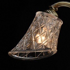 Люстра на штанге MW-Light Ариадна 32 450019105 в Красноуральске - krasnouralsk.mebel24.online | фото 10