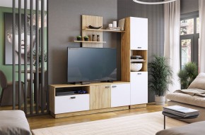 МОДИ К1 Гостиная (белое дерево) в Красноуральске - krasnouralsk.mebel24.online | фото