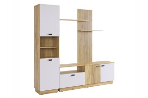 МОДИ К1 Гостиная (белое дерево) в Красноуральске - krasnouralsk.mebel24.online | фото 6