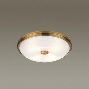 Накладной светильник Odeon Light Pelow 4956/4 в Красноуральске - krasnouralsk.mebel24.online | фото 2