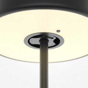 Настольная лампа декоративная Maytoni AI Collaboration MOD229TL-L3B3K2 в Красноуральске - krasnouralsk.mebel24.online | фото 5