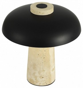 Настольная лампа декоративная ST-Luce Earthy SL1194.424.01 в Красноуральске - krasnouralsk.mebel24.online | фото 5