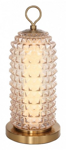 Настольная лампа декоративная ST-Luce SAGUARO SL6144.304.01 в Красноуральске - krasnouralsk.mebel24.online | фото 2