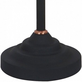 Настольная лампа офисная Arte Lamp Braccio A2054LT-1BK в Красноуральске - krasnouralsk.mebel24.online | фото 4