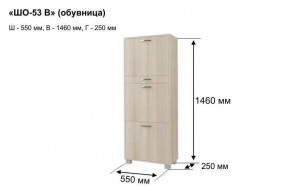 ШО-53 В тумба для обуви в Красноуральске - krasnouralsk.mebel24.online | фото 8
