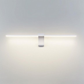 Подсветка для картины Odeon Light Tiny 7070/8WL в Красноуральске - krasnouralsk.mebel24.online | фото 2
