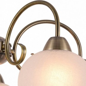 Подвесная люстра Arte Lamp Margo A9317LM-5AB в Красноуральске - krasnouralsk.mebel24.online | фото 3