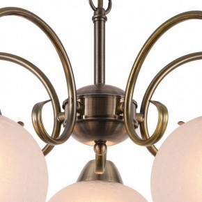 Подвесная люстра Arte Lamp Margo A9317LM-5AB в Красноуральске - krasnouralsk.mebel24.online | фото 4