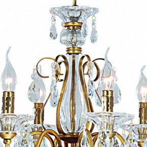 Подвесная люстра Arte Lamp Schelenberg A4410LM-6-2SR в Красноуральске - krasnouralsk.mebel24.online | фото 5