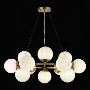 Подвесная люстра EVOLUCE Fratta SLE1191-203-12 в Красноуральске - krasnouralsk.mebel24.online | фото 4