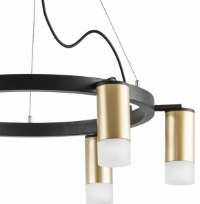 Подвесная люстра Lightstar Rullo LR0164061 в Красноуральске - krasnouralsk.mebel24.online | фото 4