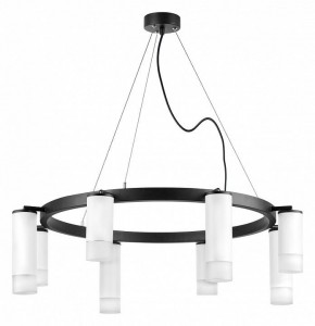 Подвесная люстра Lightstar Rullo LR0183648641 в Красноуральске - krasnouralsk.mebel24.online | фото 2