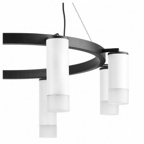 Подвесная люстра Lightstar Rullo LR0188643641 в Красноуральске - krasnouralsk.mebel24.online | фото 5