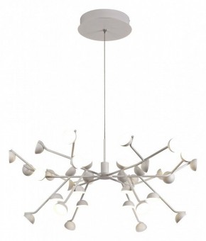 Подвесная люстра Mantra Adn 6260 в Красноуральске - krasnouralsk.mebel24.online | фото 2