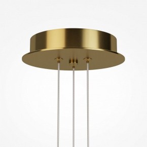 Подвесная люстра Maytoni Arana MOD401PL-L108BS3K в Красноуральске - krasnouralsk.mebel24.online | фото 7