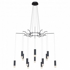 Подвесная люстра Maytoni Davida MOD035PL-12B в Красноуральске - krasnouralsk.mebel24.online | фото 2
