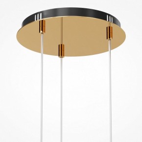 Подвесная люстра Maytoni Drop MOD273PL-L33G3K в Красноуральске - krasnouralsk.mebel24.online | фото 6