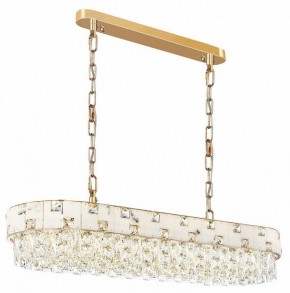 Подвесная люстра Odeon Light Chessi 5076/10 в Красноуральске - krasnouralsk.mebel24.online | фото 2