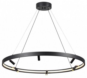 Подвесная люстра Odeon Light Fonda 4317/93L в Красноуральске - krasnouralsk.mebel24.online | фото 3