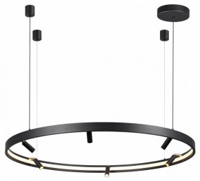 Подвесная люстра Odeon Light Fonda 4317/93L в Красноуральске - krasnouralsk.mebel24.online | фото 4