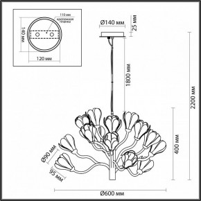 Подвесная люстра Odeon Light Gardi 5090/15 в Красноуральске - krasnouralsk.mebel24.online | фото 6