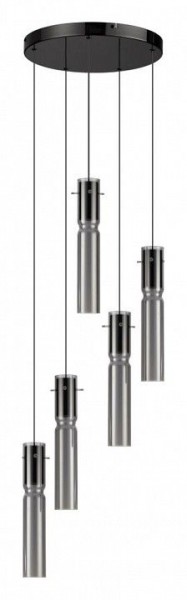 Подвесная люстра Odeon Light Scrow 5058/25L в Красноуральске - krasnouralsk.mebel24.online | фото