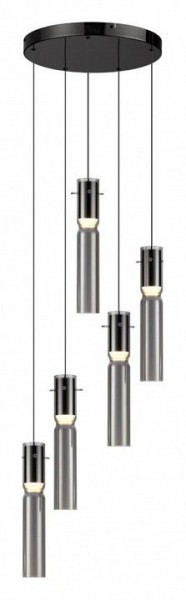 Подвесная люстра Odeon Light Scrow 5058/25L в Красноуральске - krasnouralsk.mebel24.online | фото 2