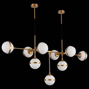 Подвесная люстра ST-Luce Arbe SL1157.303.09 в Красноуральске - krasnouralsk.mebel24.online | фото 4