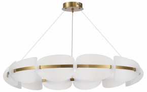 Подвесная люстра ST-Luce Etoile SL1304.203.65 в Красноуральске - krasnouralsk.mebel24.online | фото 3