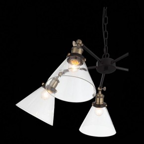 Подвесная люстра ST-Luce Evoluto SL237.413.05 в Красноуральске - krasnouralsk.mebel24.online | фото 7