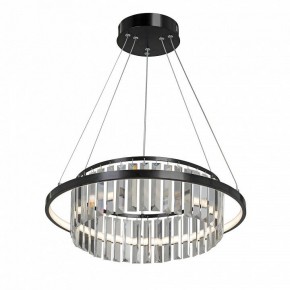 Подвесная люстра Vitaluce V54010 V54010-1/1S в Красноуральске - krasnouralsk.mebel24.online | фото