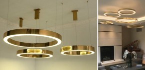 Подвесной светильник Imperiumloft Light Ring Horizontal 40.1454-100 в Красноуральске - krasnouralsk.mebel24.online | фото 2