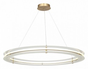 Подвесной светильник ST-Luce FAGY SL6245.213.01 в Красноуральске - krasnouralsk.mebel24.online | фото 4