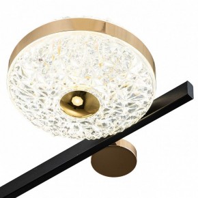 Потолочная люстра Escada Liberta 10219/6LED в Красноуральске - krasnouralsk.mebel24.online | фото 6