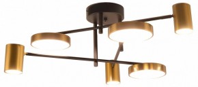 Потолочная люстра Kink Light Рапис 07645-6D,19(20) в Красноуральске - krasnouralsk.mebel24.online | фото