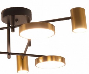 Потолочная люстра Kink Light Рапис 07645-6D,19(20) в Красноуральске - krasnouralsk.mebel24.online | фото 2