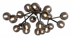 Потолочная люстра Maytoni Dallas MOD545CL-20B в Красноуральске - krasnouralsk.mebel24.online | фото 2