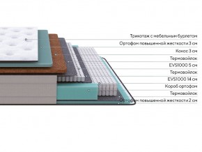 PROxSON Матрас Elysium Firm (Трикотаж Spiral-RT) 120x200 в Красноуральске - krasnouralsk.mebel24.online | фото 2