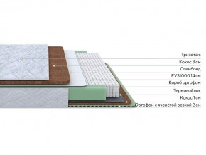 PROxSON Матрас Green Duo M/F (Tricotage Dream) 80x200 в Красноуральске - krasnouralsk.mebel24.online | фото 1