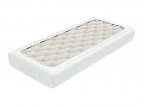 PROxSON Защитный чехол Aqua Save Light S (Ткань влагостойкая Tencel Jersey) 120x190 в Красноуральске - krasnouralsk.mebel24.online | фото 1