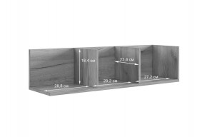 РИЧ Полка навесная 2 в Красноуральске - krasnouralsk.mebel24.online | фото 3