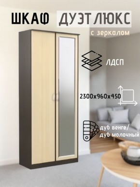 Шкаф 2-х створчатый Дуэт Люкс с зеркалом в Красноуральске - krasnouralsk.mebel24.online | фото