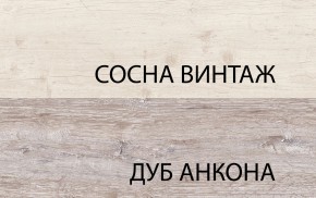 Шкаф 2DG2S, MONAKO, цвет Сосна винтаж/дуб анкона в Красноуральске - krasnouralsk.mebel24.online | фото