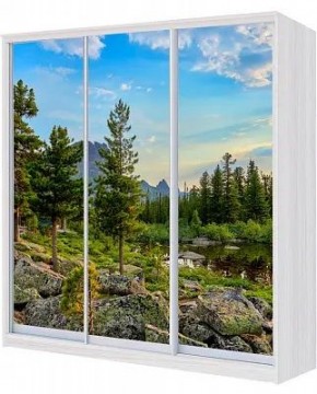 Шкаф-купе ХИТ 22-18-777 ПРИРОДА в Красноуральске - krasnouralsk.mebel24.online | фото